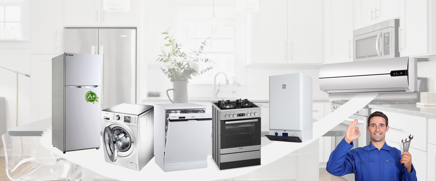 Bulanık Dominox Servisi
